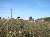 20061008