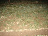 20070225