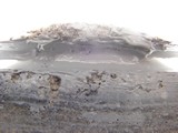 20070411