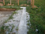 20070411