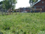 20070415